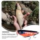 thumbnail image 4 of Advancent 4 piezas de cebos, señuelos artificiales de plástico, Crankbait de agua de mar para exteriores, río, océano, barco, playa, Type3 NO3, 4 of 6