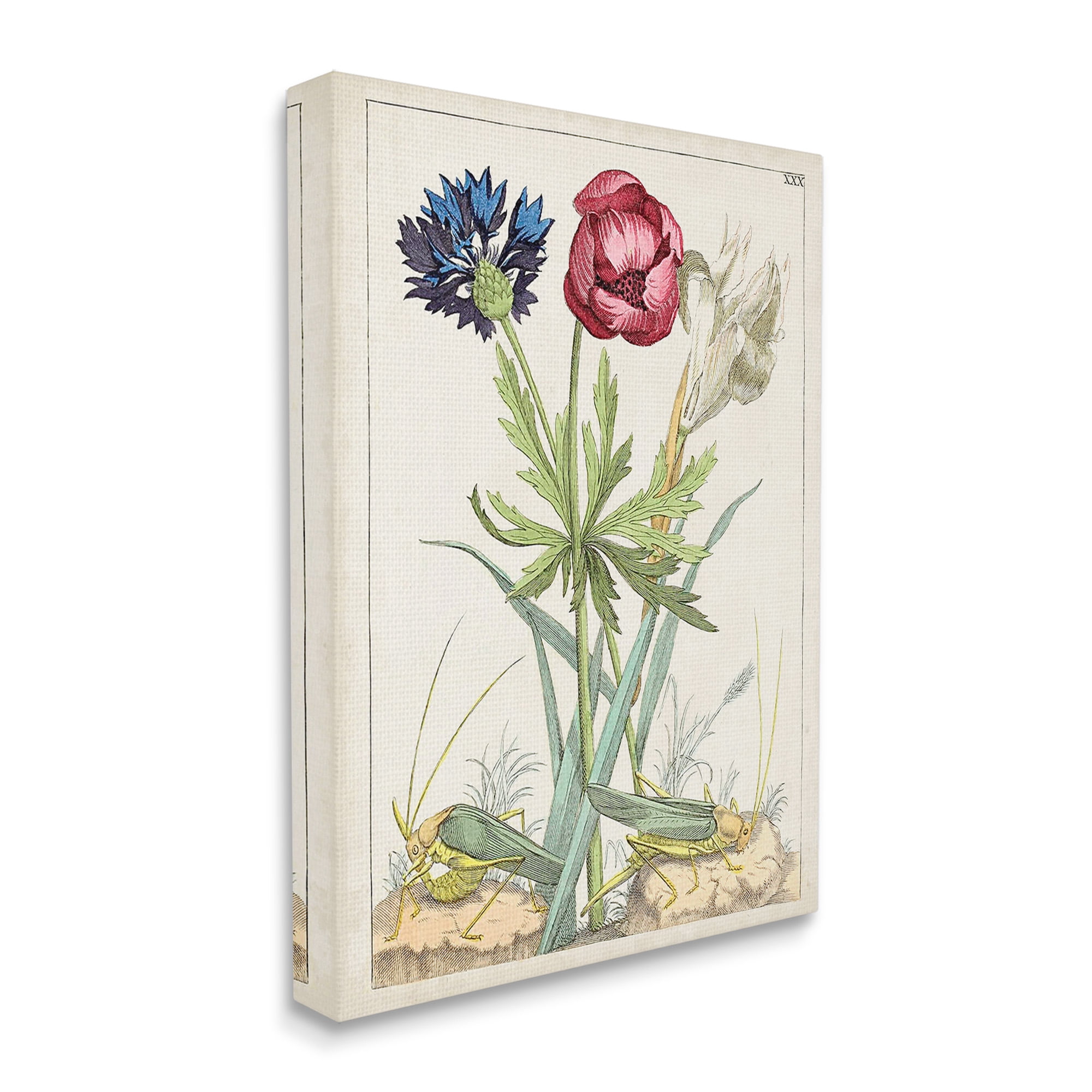 Stupell Industries Blooming Bulbs & Grasshoppers Botanical & Floral Painting Gallery Wrapped Canvas Art Print Wall Art, 16 x 20