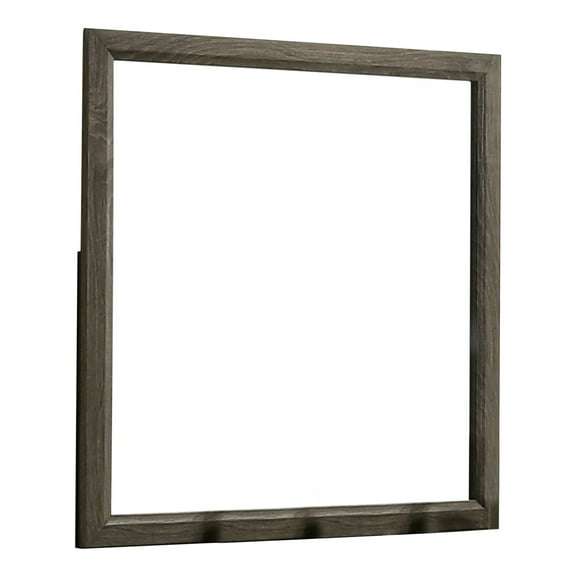 35 Inch Transitional Style Wooden Frame Mirror Gray - Saltoro Sherpi