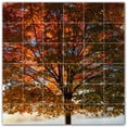 thumbnail image 1 of Picture-Tiles.com: Autumn Ceramic Tile Wall Mural WAL500003-66S. 25.5"W x 25.5"H using (36) 4.25" x 4.25" Ceramic Tiles-Satin Finish, 1 of 3