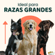 thumbnail image 2 of Casa para Perro Grande Exterior con Puerta metálica térmica con ventilación, Resistente a la Intemperie con Techo Triangular para Lluvia, Roja 98x84x82 cm, 2 of 7
