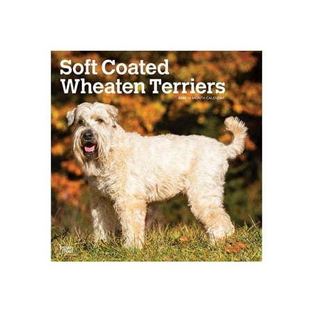 BrownTrout - 16-month calendar - wall mount - 2022 - soft coated