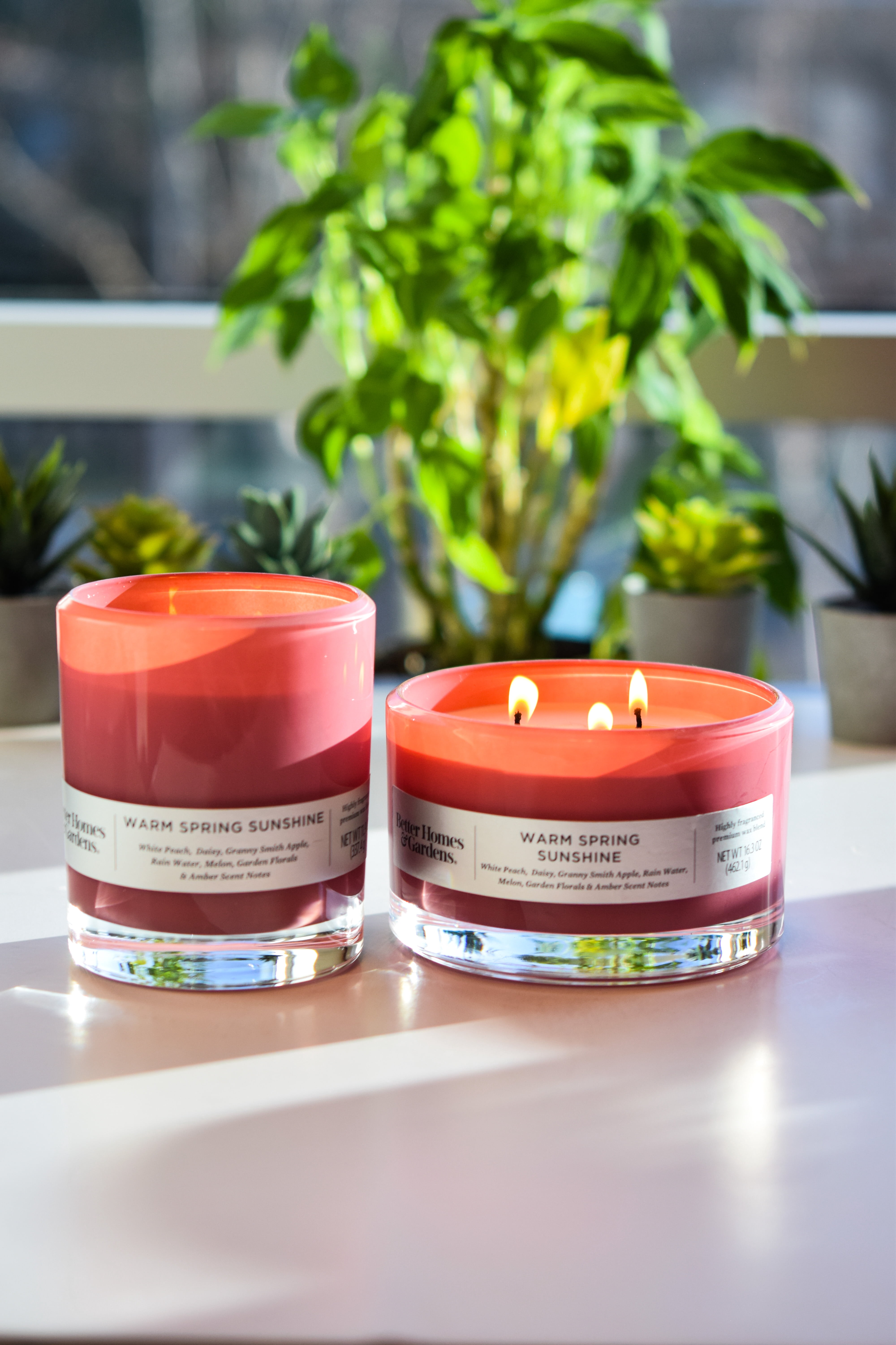 Better Homes & Gardens Warm Spring Sunshine 12oz Scented 2-wick Candle
