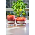 thumbnail image 6 of (2 pack) Better Homes & Gardens 16oz Warm Spring Sunshine Scented 3-Wick Dish Candle, 6 of 6