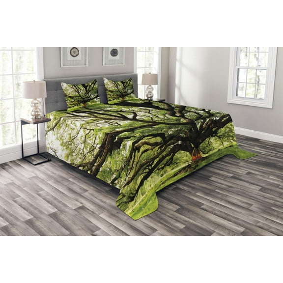 Ambesonne Nature Quilted Bedspread Set 3 Pcs, Majestic Tree Thailand, King Size, Green Brown