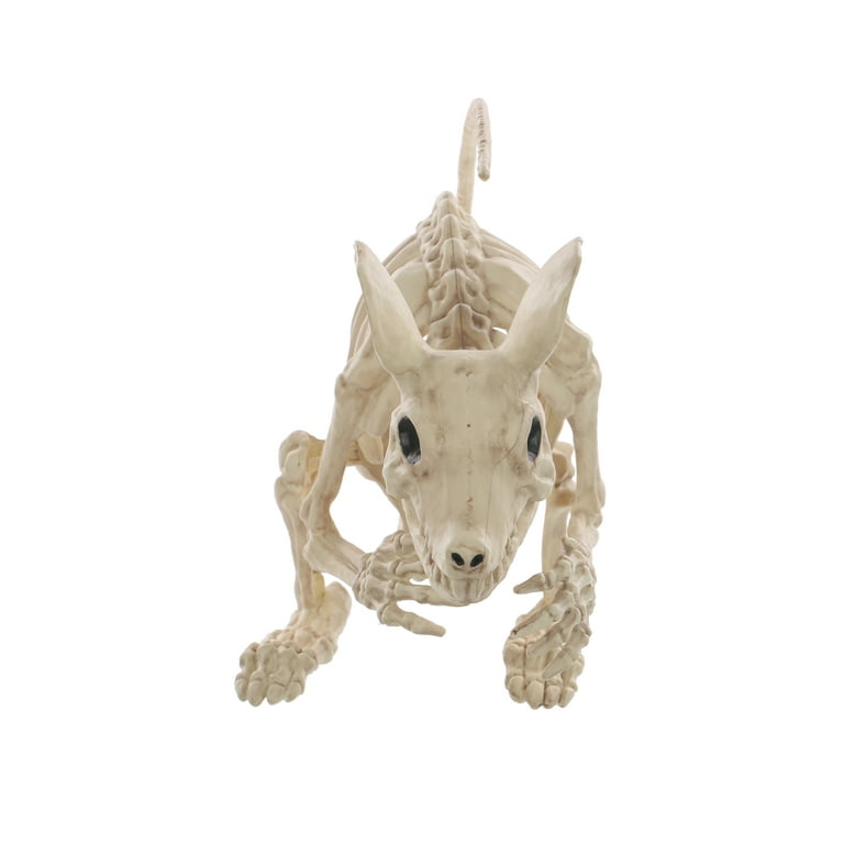 Squelette De Rat Pour Décorations D'halloween 9x1, 9x2, 7