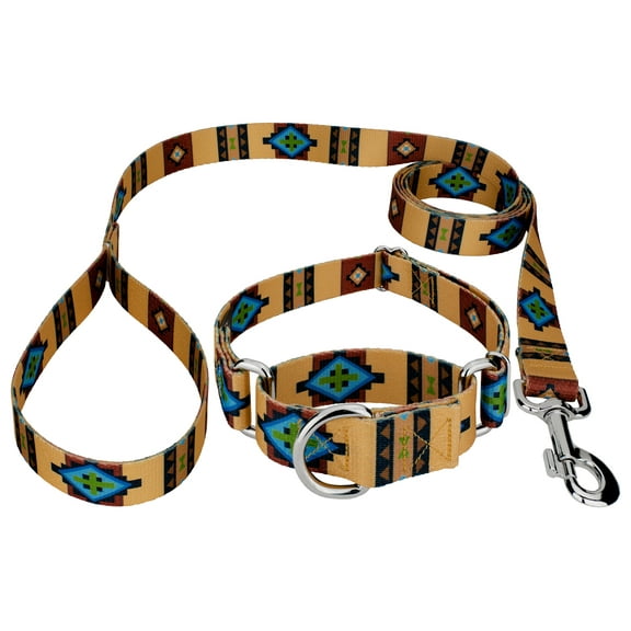 Country Brook Petz® Native Arizona Martingale Dog Collar and Leash, Small