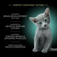 thumbnail image 4 of Sheba Perfect Portions Kitten Variety Flavors Pate Wet Cat Food, 2.6 oz Twin-Pack Trays (24 Pack), 4 of 13