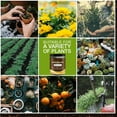 thumbnail image 7 of Soil Activator, 120g Organic Soil Activator & Plant Fertilizer for Raised Garden Beds, Prevent Compaction, Promote Plant Rooting, 7 of 7