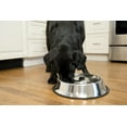 thumbnail image 2 of Iconic Pet 2-Pack Slow Feed Stainless Steel Pet Bowl For Dog Or Cat, Small, 12 Oz, 2 of 7