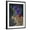 Black Frame, variant on Art.com Hot House Leopard 2 Stretched Canvas Print Wall Art by Fab Funky, 12" x 16"