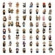 thumbnail image 1 of Popular! Stickers 55PCS ,Laptop Sticker Waterproof Vinyl Stickers Car Sticker Motorcycle Bicycle Luggage Decal Patches Skateboard Sticker DIY Decals, 1 of 5