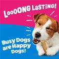 thumbnail image 6 of (2 pack) Purina Busy Bone Small Dog Chews With Real Pork Middle, 21 oz., 6 of 15