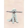 thumbnail image 2 of Nicholas, Debbie 11x14 White Modern Wood Framed Museum Art Print Titled - Playful Pups II, 2 of 4