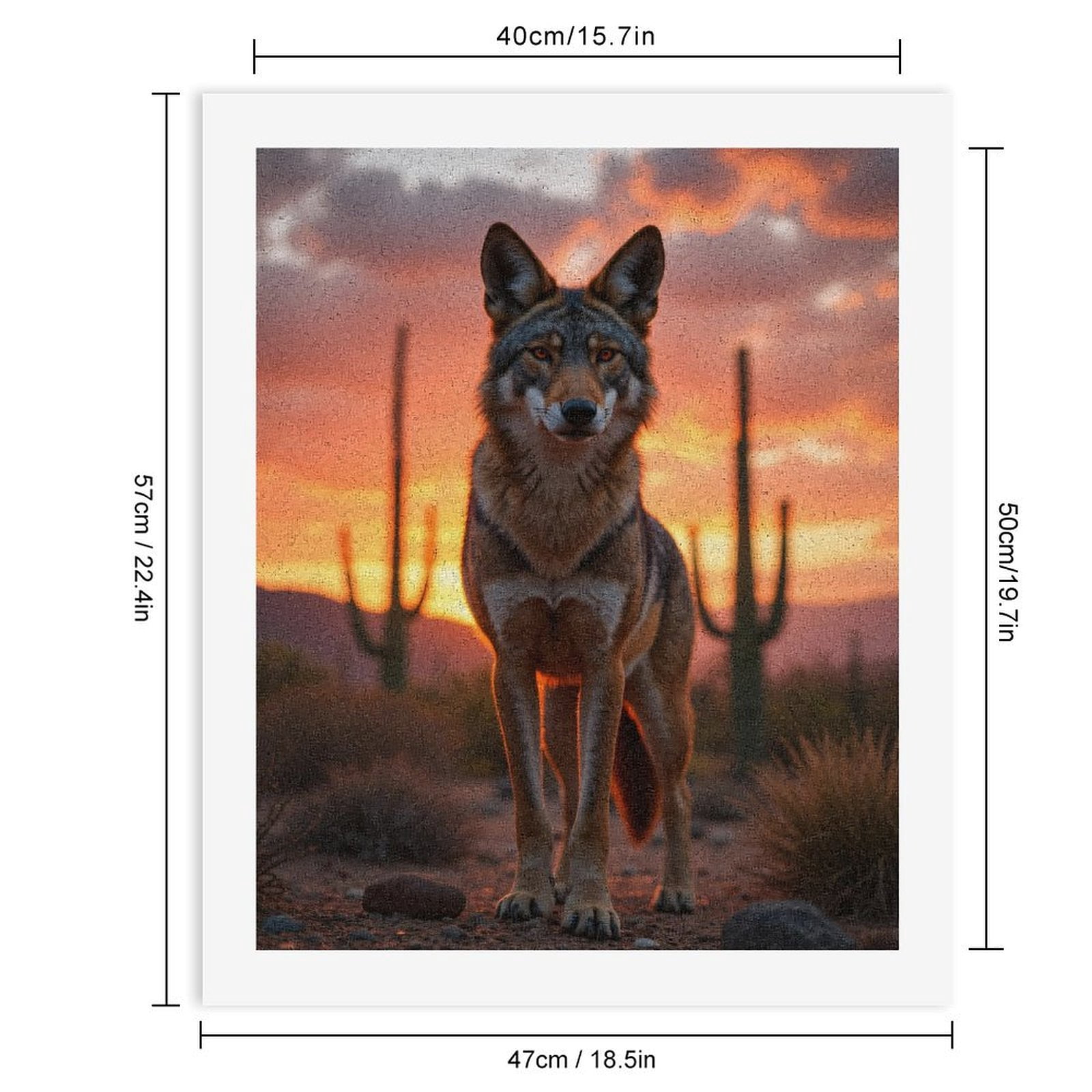 Paint by Numbers Kit for Adults, Sunset Desert Coyote Standing Cacti Paint by Numbers, Easy Paint by Numbers Kit for Adults Beginner, DIY Adult Paint by Number Kits on Canvas, 12x16in Home Decor