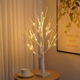 thumbnail image 1 of 60CM 24LED blanco cálido LED luz de árbol de abedul con temporizador mesa bonsái árbol luz joyero decoración para el hogar boda fiesta vacaciones JAMW Sencillez, 1 of 5