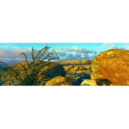 Sunrise alpenglow near Bow Willow Campground Anza Borrego Desert State Park California USA Canvas Art - Panoramic Images (12 x