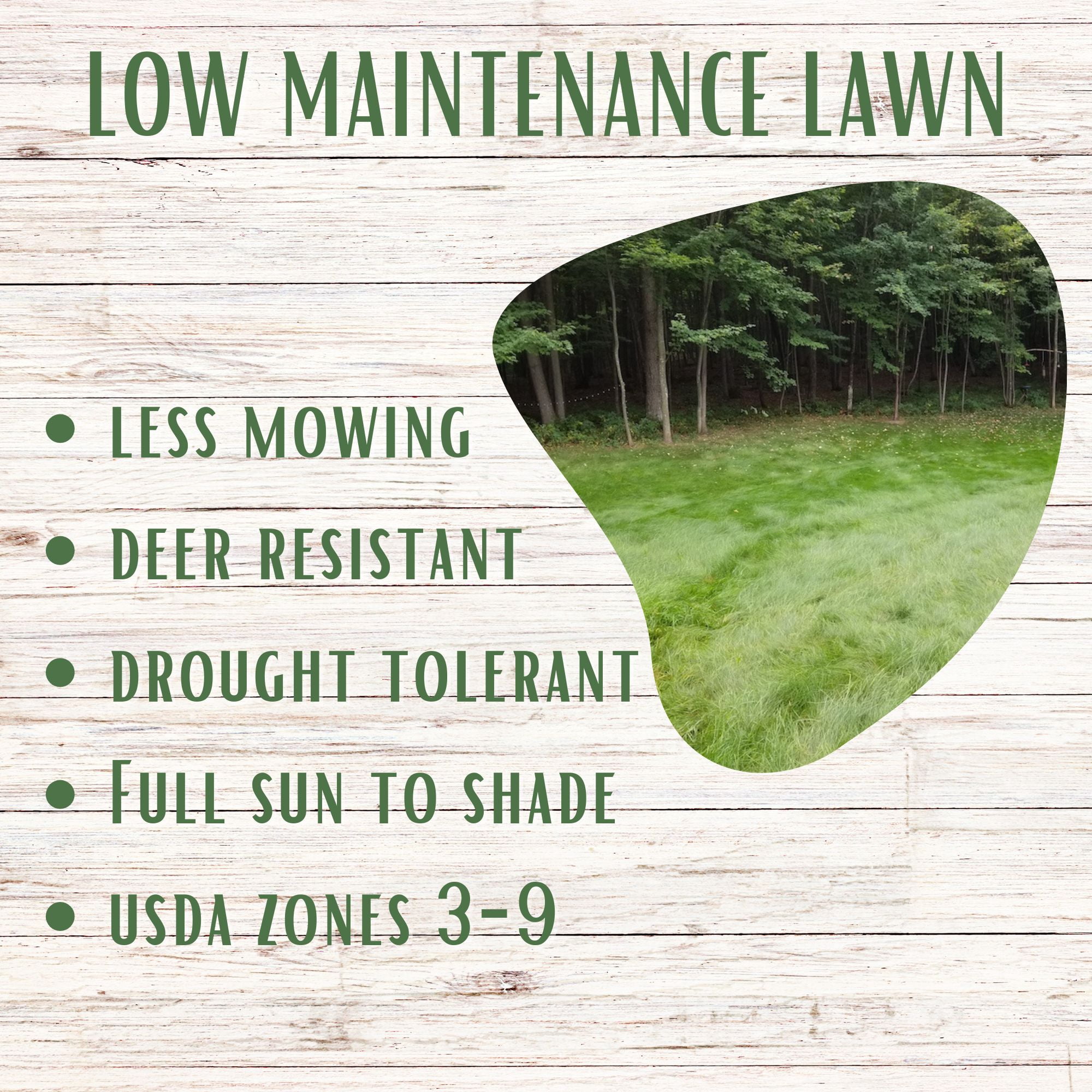 Flawn Seed Kits Mow Less Fine Fescue Grass Seed, 2 lb - Easy Spread Shaker, Low Maintenance