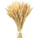 thumbnail image 1 of Ramo de flores de trigo seco Natural 100, decoración de boda, ramo de flores secas para chimenea, mesa de cocina, corona de Navidad, 1 of 4