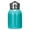 Blue, variant on Mini Water Bottle 300ML Stainless Steel Flask Vacuum Insulated Thermal Cup Leak Proof Portable Green