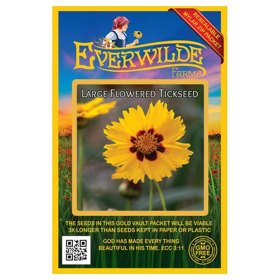 Everwilde Farms - 1000 Large Flowered Tickseed Native Wildflower Seeds - Gold Vault Jumbo Bulk Seed Packet