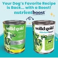 Green Cow Wet Dog Food Mix in for Adult & Senior Dogs for Picky Eaters
