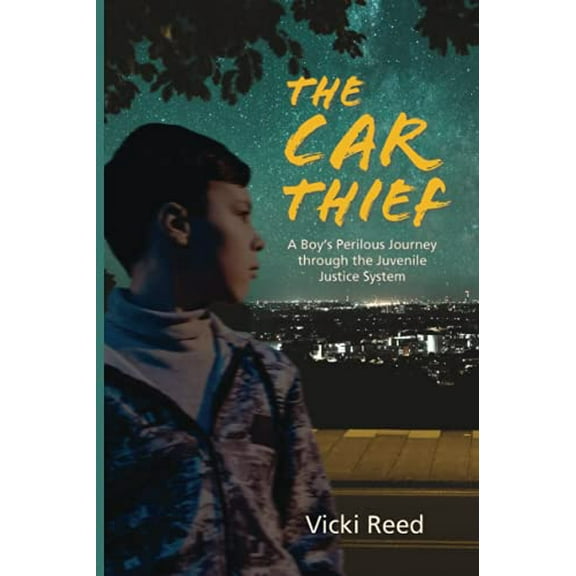 Pre-Owned The Car Thief: A Boy's Perilous Journey through the Juvenile Justice System, 9780984589760, 0984589767, Paperback,