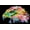 Eagle Eye, variant on Diamond Dotz Rainbow Perch Bird Diamond Painting Kits for Adults - Diamond Art Kits a Relaxing Creative Craft Kit with Dotz Gems 12.6"x19.7"