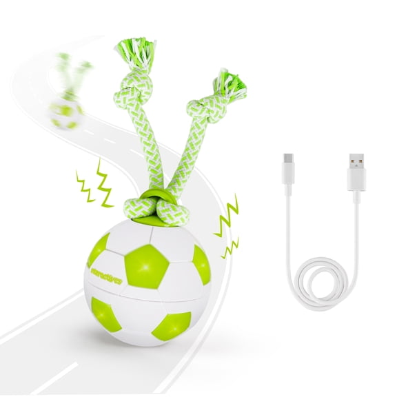 All For Paws Interactive Dog Ball Toy with LED Lights, Motion Activated Rolling Ball Toy with Rope, USB Rechargeable Moving Dog Ball Toys, Soccer Ball