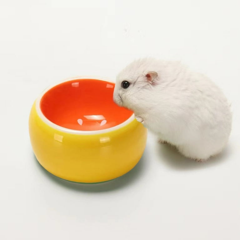 Hamster Food Bowl Acrylic Feeder Small Animal Water Dish and Feeding Bowl  Prevent Tipping Moving for Hamster Gerbil Rat Dwarf Hamster Syrian Hamsters