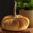 thumbnail image 1 of Calabazas de terciopelo súper suave Vankin para decorar otoño, Halloween y Acción de Gracias. Colores elegantes y relleno de algodón de felpa. Liquidación., 1 of 7