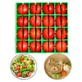 thumbnail image 2 of Cherry Tomato Slicing Tool Grape Cutting Tool Grape Cherry Tomato Slicer Fruit Container Holder Cutter Dishwasher Food Grade Quarter Grape Slicer For Snacks Cutting 16 P, 2 of 8