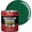 Hunter Green, variant on Evolve Alkyd Enamel Paint, Oil-Based Multi-Surface Interior & Exterior Paint for Wood, Metal & Concrete, Gloss White, 32 fl oz