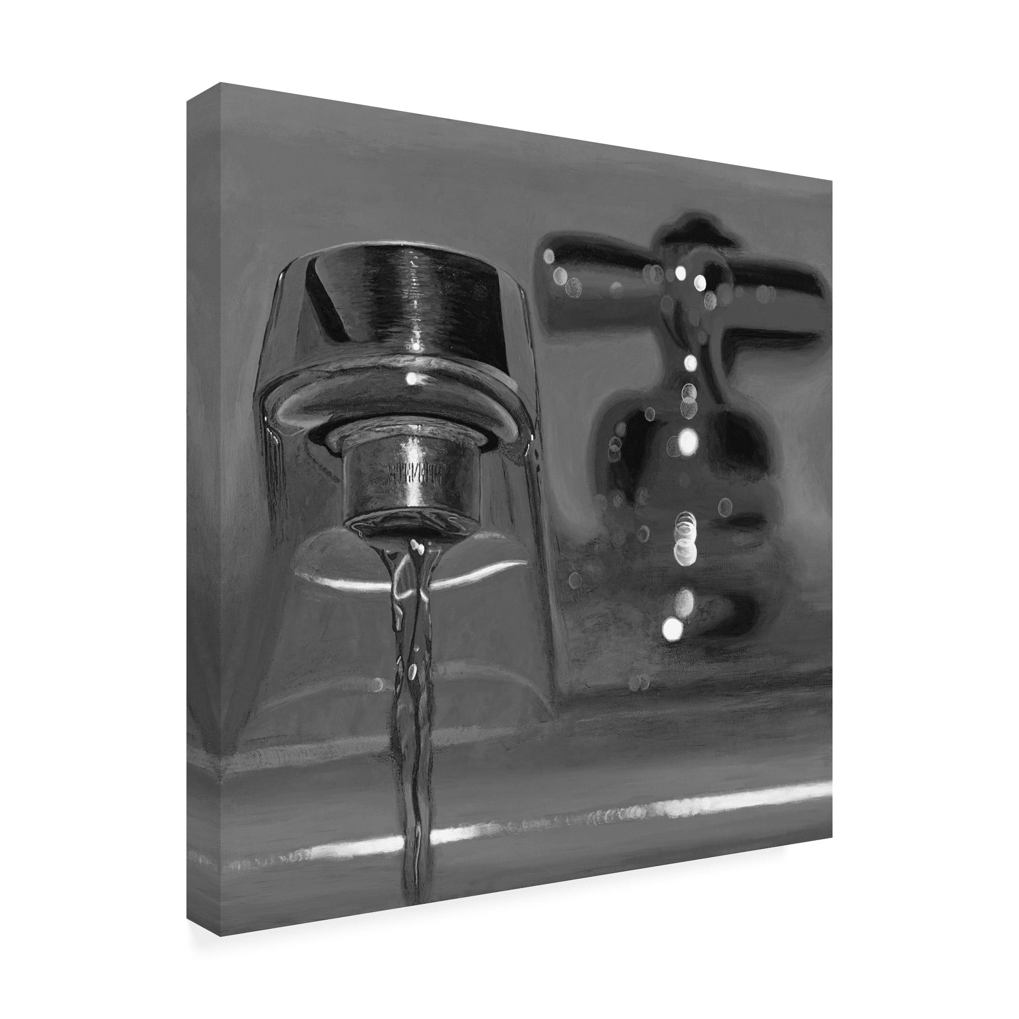 Trademark Fine Art 'Black & White Faucet' Canvas Art by Roderick Stevens