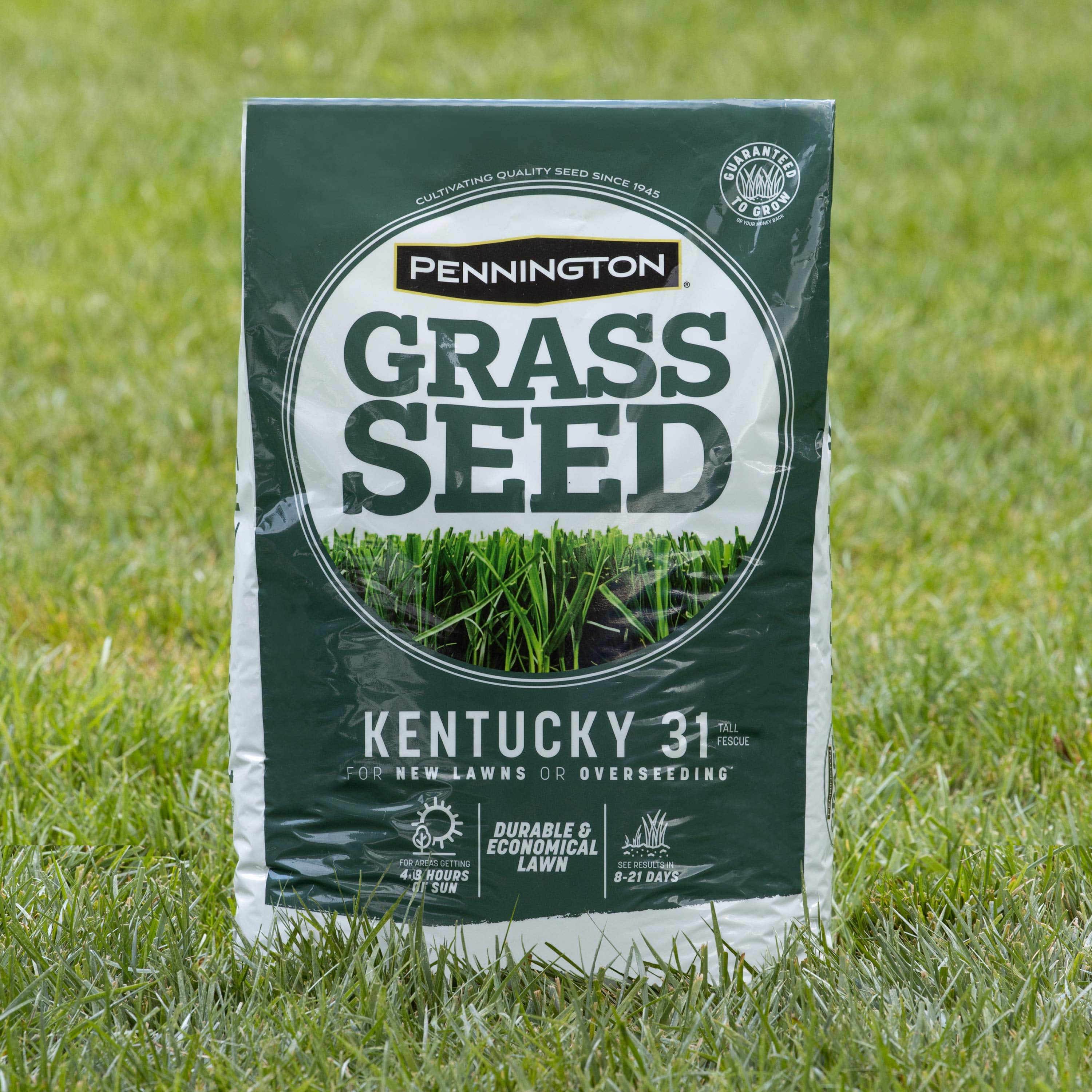 How Much Kentucky 31 Grass Seed Per Acre - WHMUC