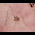 thumbnail image 4 of HOOUN 1.5/2/2.5/3/3.5/4MM Diy Accessories Copper Positioning Bead Tube Beads Spacers-Gold-3.5mm【1000PCS/60g】, 4 of 9