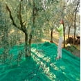 thumbnail image 2 of Fruits Harvest Collecting Netting Walnut Olive Chestnut Plum Hazelnut Picking Collector Net,Size:L26.2'xW39.3'(8x12m), 2 of 9