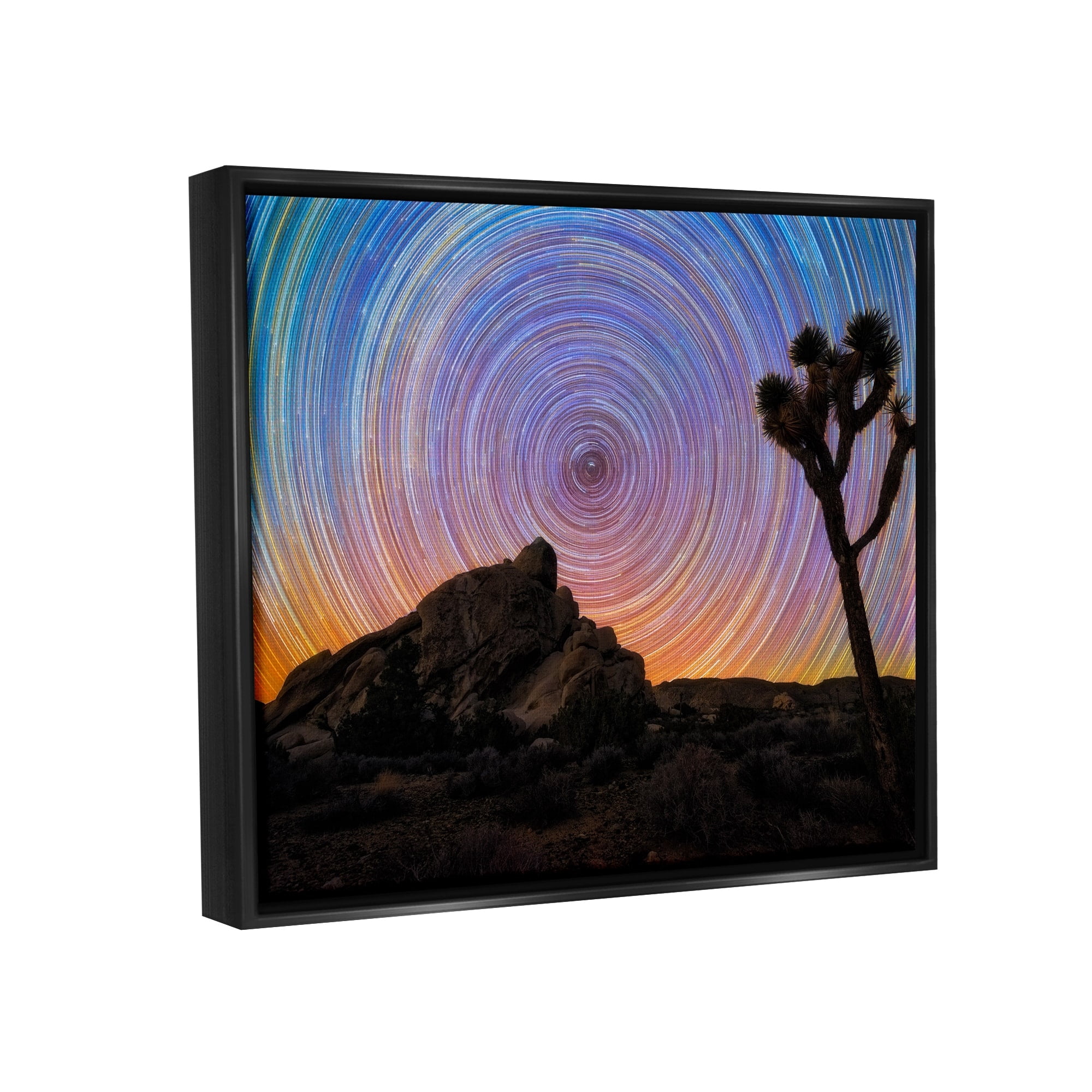 Stupell Industries Kaleidoscopic Swirl Pattern Sky Desert Tree Silhouette Graphic Art Jet Black Floating Framed Canvas Print Wall Art, Design by Lincoln Harrison