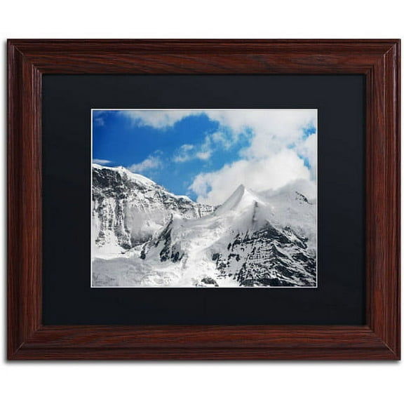 Trademark Fine Art "Ethereal" Canvas Art by Philippe Sainte-Laudy, Black Matte, Wood Frame
