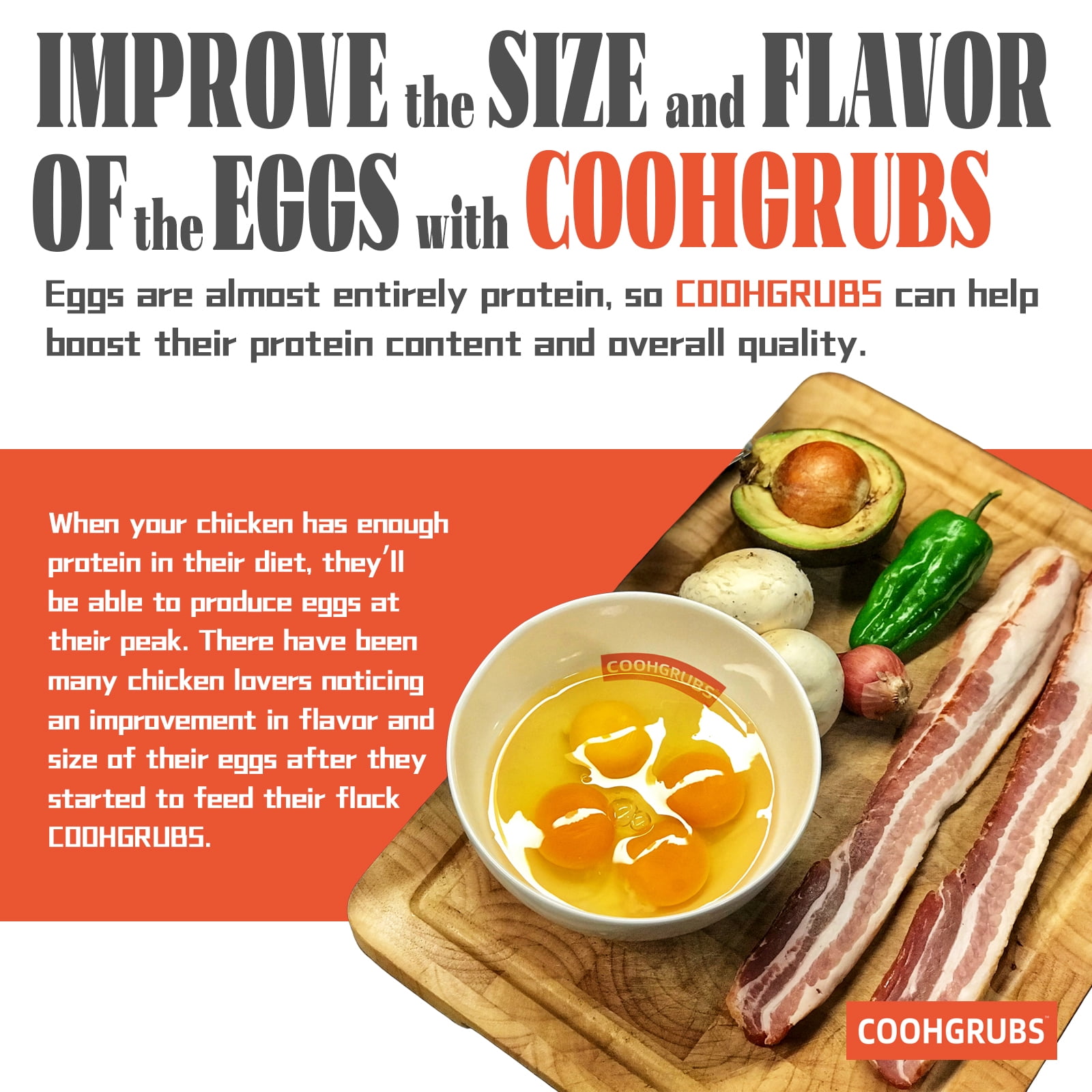 COOHGRUBS Dried Black Soldier Fly Larvae for Chickens, High-Calcium 85X More than Mealworms Bird Treat, 10-lb box