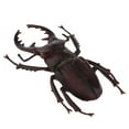 thumbnail image 3 of 2x Escarabajos de Plástico Realistas Baoblaze Modelo Para Colecciones, 3 of 8