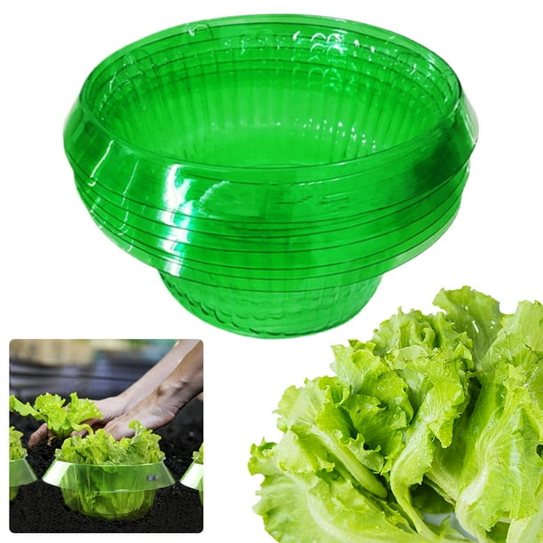 Campanas Jardín para Verduras Collares Caracol Ahorran Herramienta Protectora