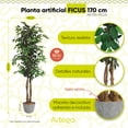 thumbnail image 2 of Planta artificial decorativa moderna Artego Ficus grande 170cm, 2 of 8