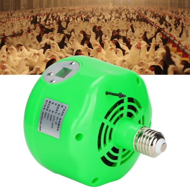 Heat lamp for clearance chickens walmart