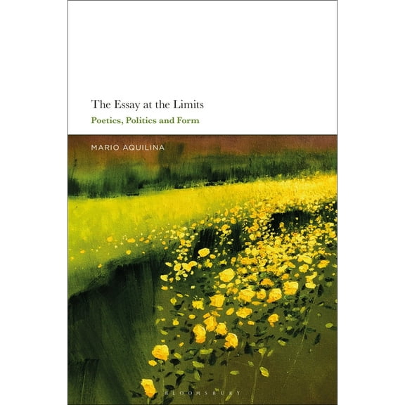 The Essay at the Limits: Poetics, Politics and Form, (Paperback)