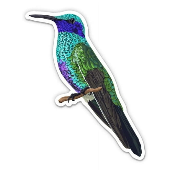 Beautiful Hummingbird - 3" Vinyl Sticker - For Car Laptop I-Pad Phone Helmet Hard Hat - Waterproof Decal