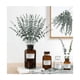 thumbnail image 5 of 24 Piezas Tallos De Eucalipto Decoración Hojas Artificiales, 5 of 5