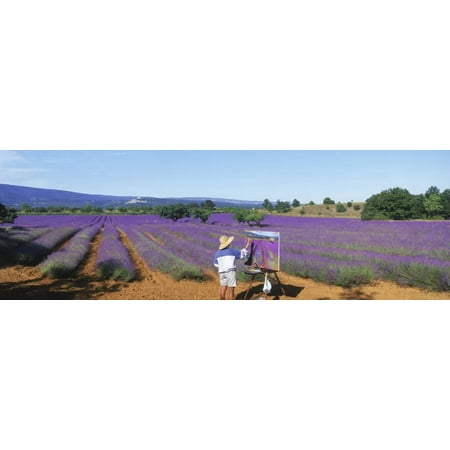 Female Artist Painting Field of Lavender, Provence-Alpes-Cote D'Azur, France Print Wall Art By Panoramic