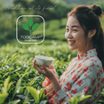 thumbnail image 7 of TODICAMP White Tea Silver Needle Tea - 1 lb of Premium Silver Needle White Tea, 7 of 7