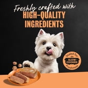 Cesar Classic Loaf in Sauce Wet Dog Food Chicken & Liver Flavor, 3.5 oz. Easy Peel Trays, 24 Count
